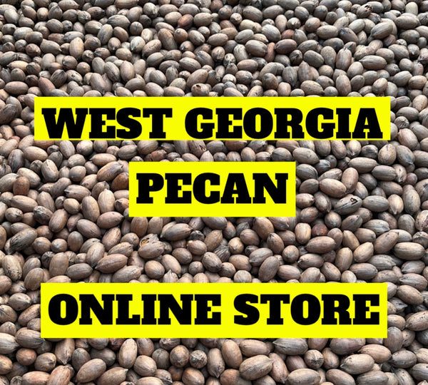 WEST GEORGIA PECAN logo