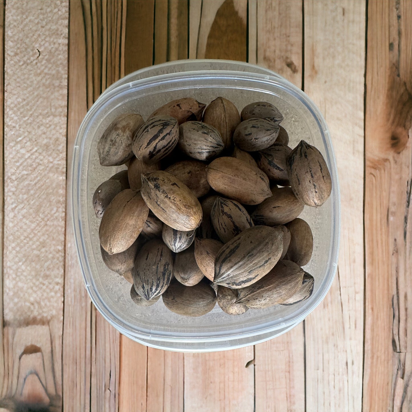 5 POUNDS UNSHELLED PECANS