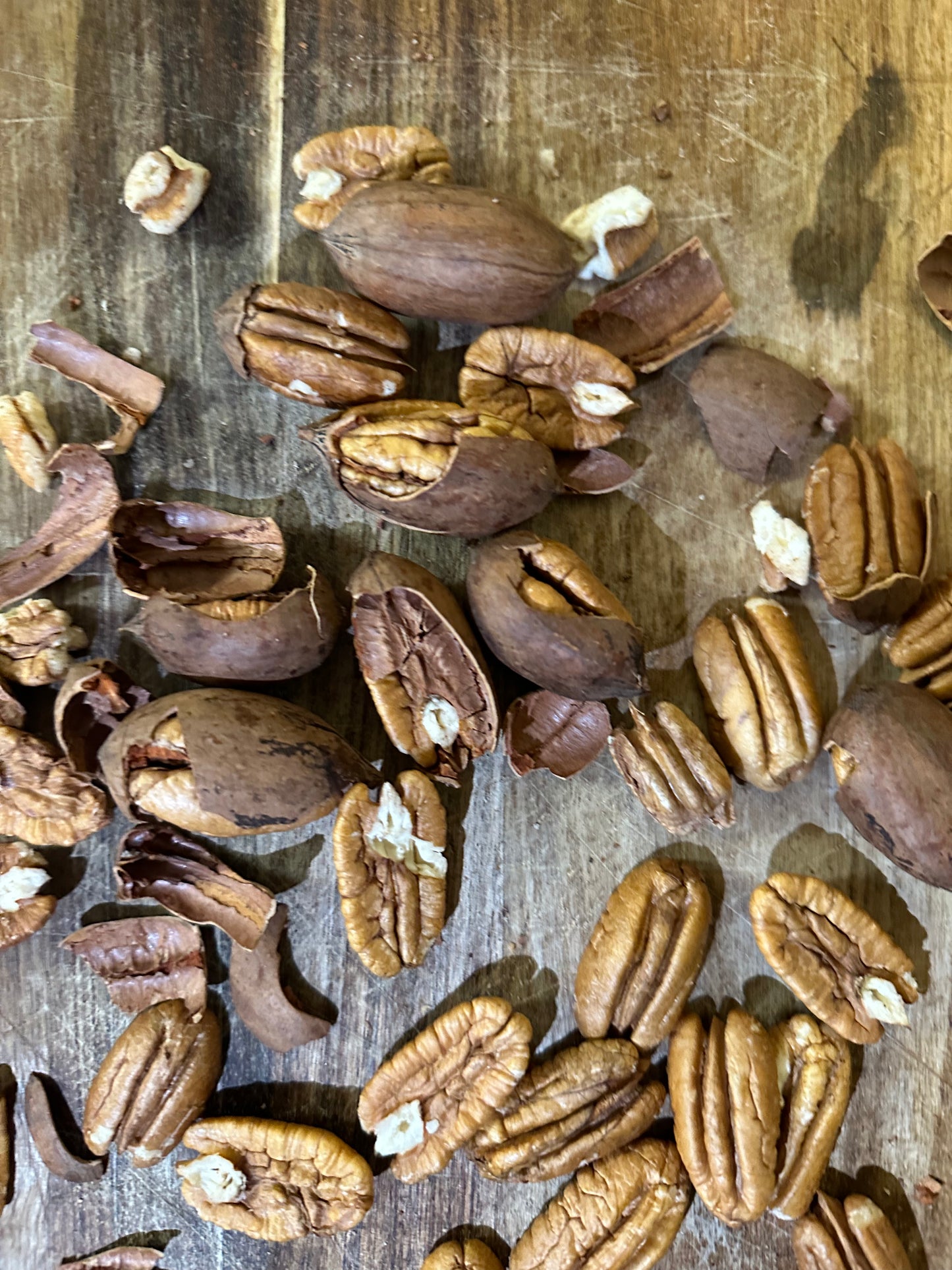 Cracked Raw Pecans (not shelled) 1 pound